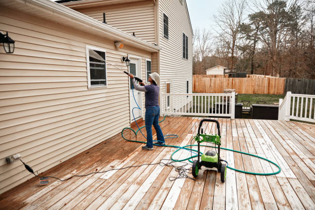 Professional Pressure Washing in Rio Hondo, TX