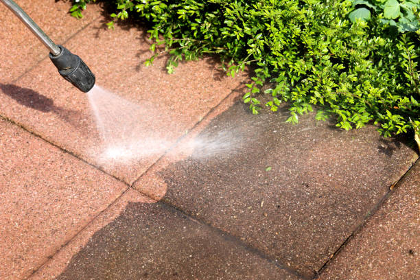 Local Pressure Washing Services in Rio Hondo, TX